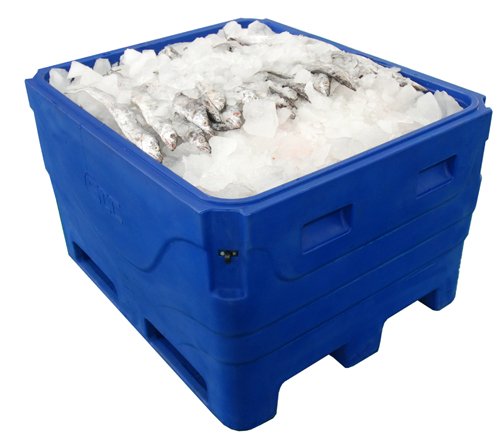 fish cooler box2.jpg