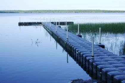 TShapeJori.jpg TShapeJori.jpg