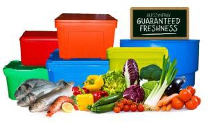 Big Cooler Box For Seafood