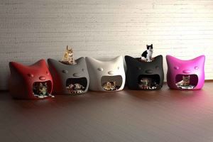 Large Outdoor Pet House for Cats Dogs Kennel Customized